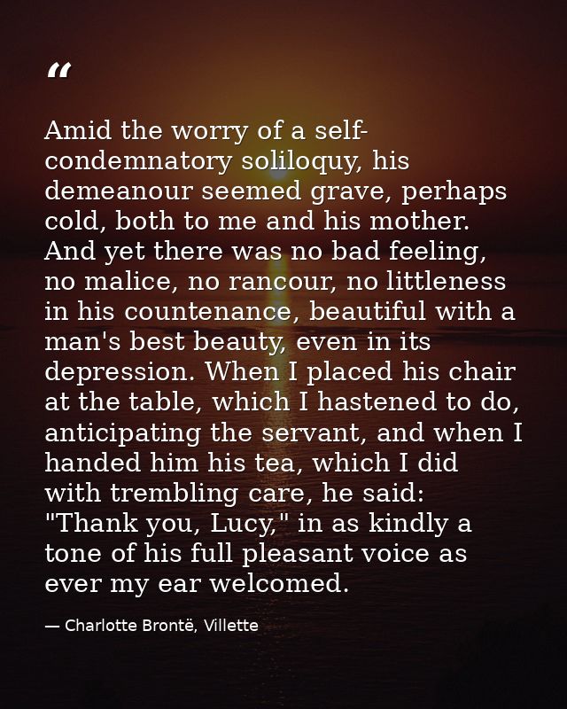 Amid the worry of a self- condemnatory soliloquy, his demeanour seemed grave, perhaps cold, both to me and his mother. A — Charlotte Brontë, Villette