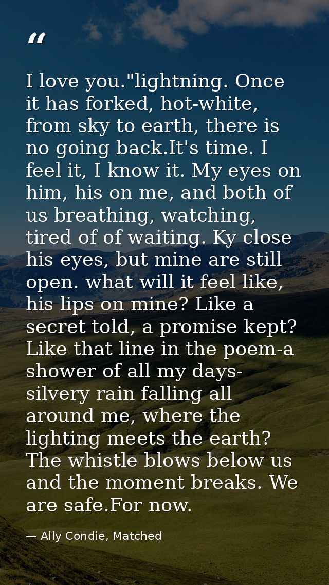 I love you."lightning. Once it has forked, hot-white, from sky to earth, there is no going back.It's time. I feel it, I  — Ally Condie, Matched