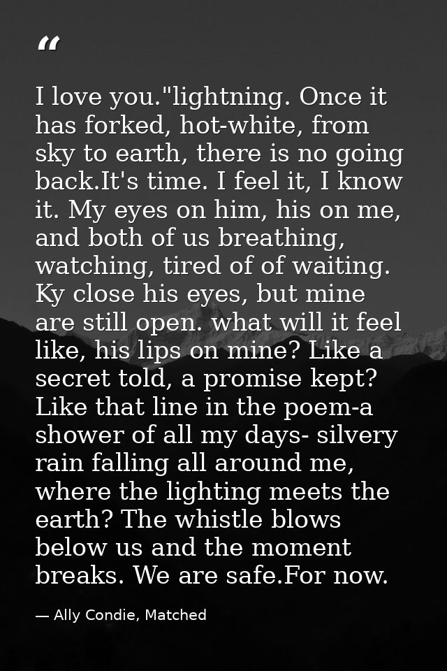 I love you."lightning. Once it has forked, hot-white, from sky to earth, there is no going back.It's time. I feel it, I  — Ally Condie, Matched