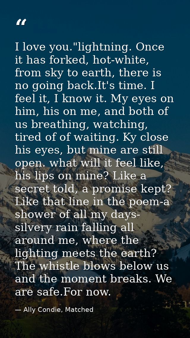 I love you."lightning. Once it has forked, hot-white, from sky to earth, there is no going back.It's time. I feel it, I  — Ally Condie, Matched