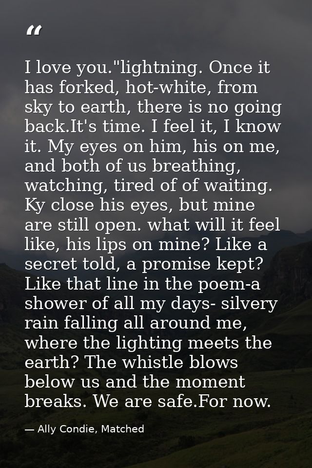 I love you."lightning. Once it has forked, hot-white, from sky to earth, there is no going back.It's time. I feel it, I  — Ally Condie, Matched