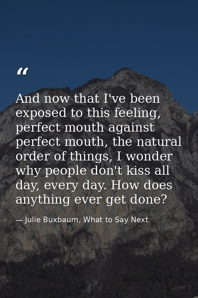 And now that I've been exposed to this feeling, perfect mouth against perfect mouth, the natural order of things, I wond — Julie Buxbaum, What to Say Next