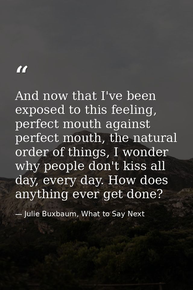 And now that I've been exposed to this feeling, perfect mouth against perfect mouth, the natural order of things, I wond — Julie Buxbaum, What to Say Next