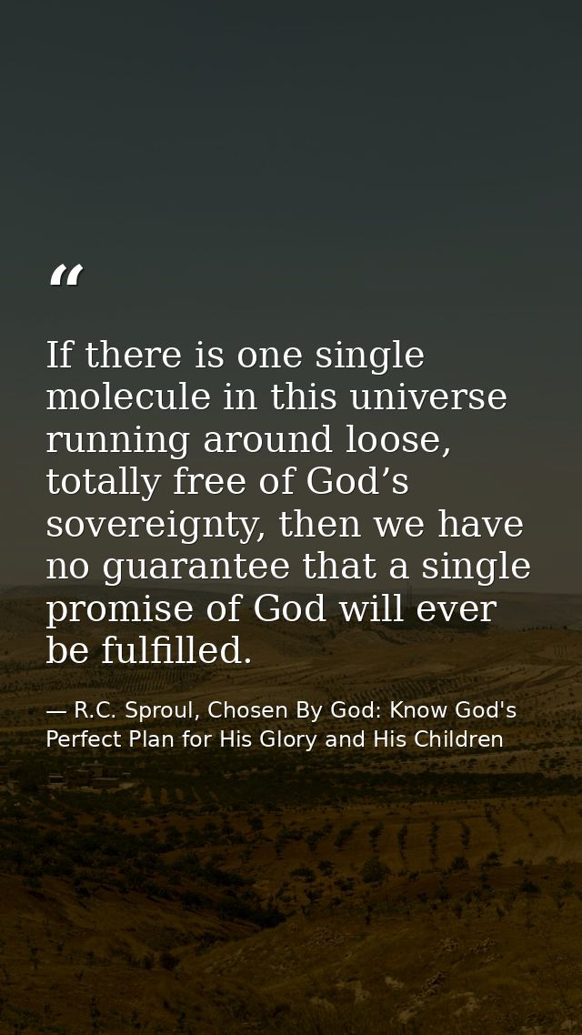 If there is one single molecule in this universe running around loose, totally free of God’s sovereignty, then we have n — R.C. Sproul, Chosen By God: Know God's Perfect Plan for His Glory and His Children
