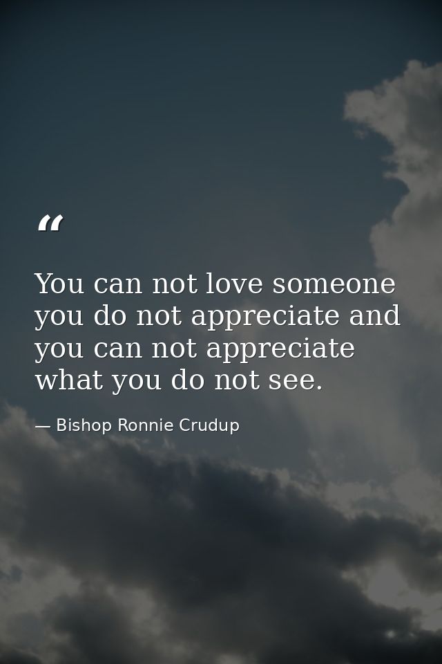 You can not love someone you do not appreciate and you can not appreciate what you do not see. — Bishop Ronnie Crudup