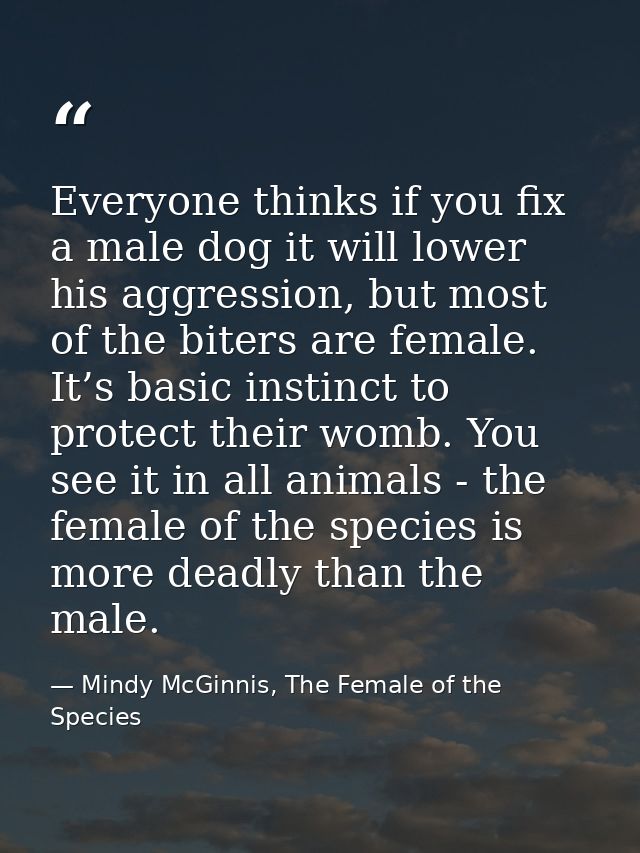 Everyone thinks if you fix a male dog it will lower his aggression, but most of the biters are female. It’s basic instin — Mindy McGinnis, The Female of the Species