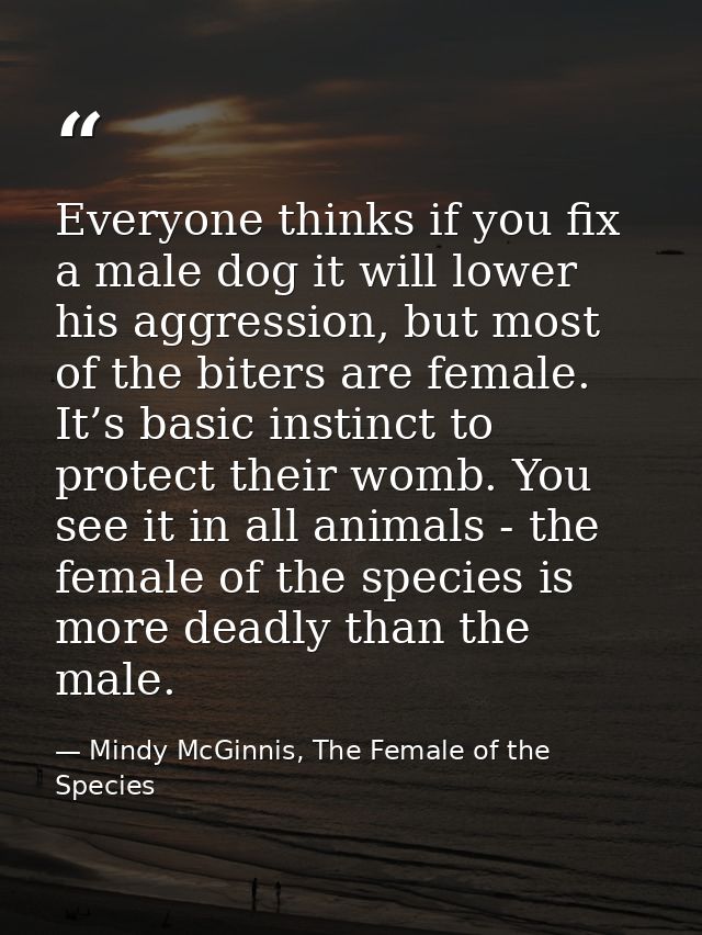 Everyone thinks if you fix a male dog it will lower his aggression, but most of the biters are female. It’s basic instin — Mindy McGinnis, The Female of the Species