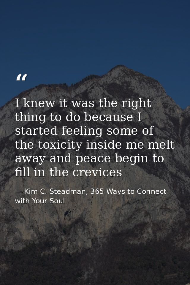 I knew it was the right thing to do because I started feeling some of the toxicity inside me melt away and peace begin t — Kim C. Steadman, 365 Ways to Connect with Your Soul