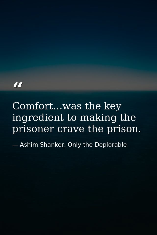 Comfort...was the key ingredient to making the prisoner crave the prison. — Ashim Shanker, Only the Deplorable