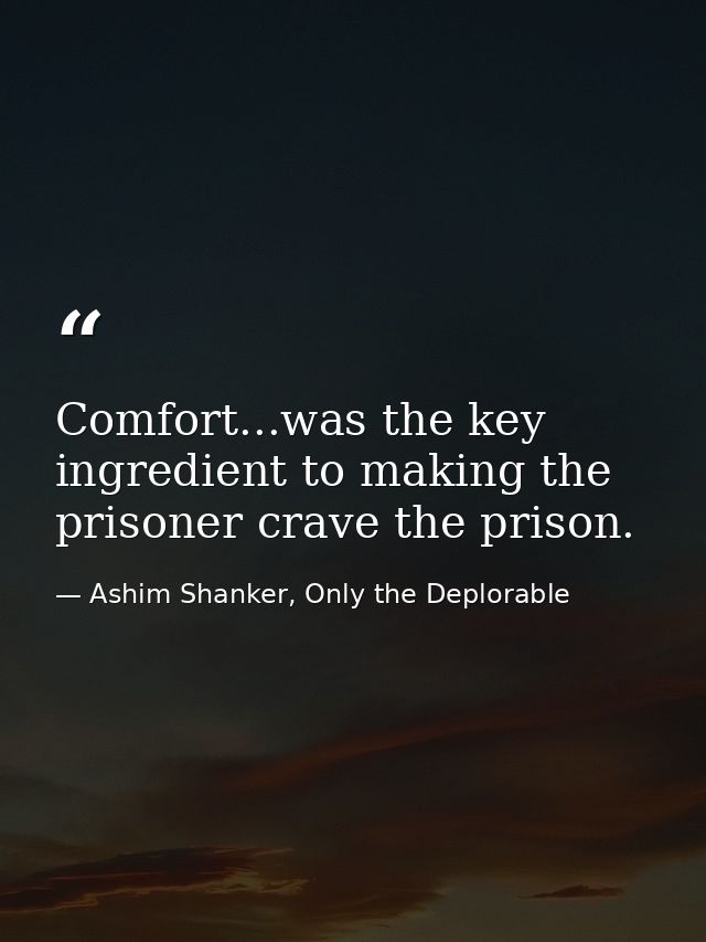Comfort...was the key ingredient to making the prisoner crave the prison. — Ashim Shanker, Only the Deplorable