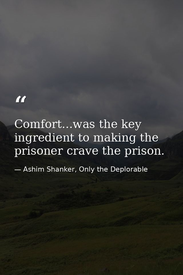 Comfort...was the key ingredient to making the prisoner crave the prison. — Ashim Shanker, Only the Deplorable