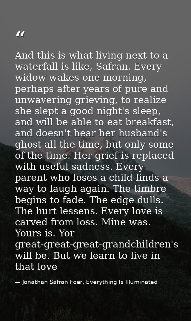 And this is what living next to a waterfall is like, Safran. Every widow wakes one morning, perhaps after years of pure  — Jonathan Safran Foer, Everything Is Illuminated