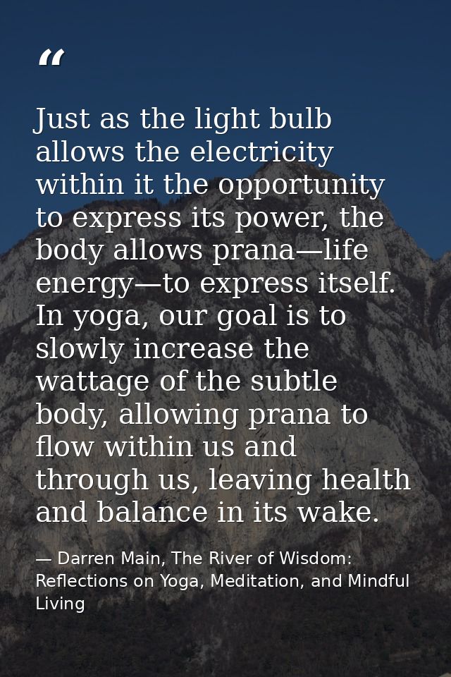 Just as the light bulb allows the electricity within it the opportunity to express its power, the body allows prana—life — Darren Main, The River of Wisdom: Reflections on Yoga, Meditation, and Mindful Living
