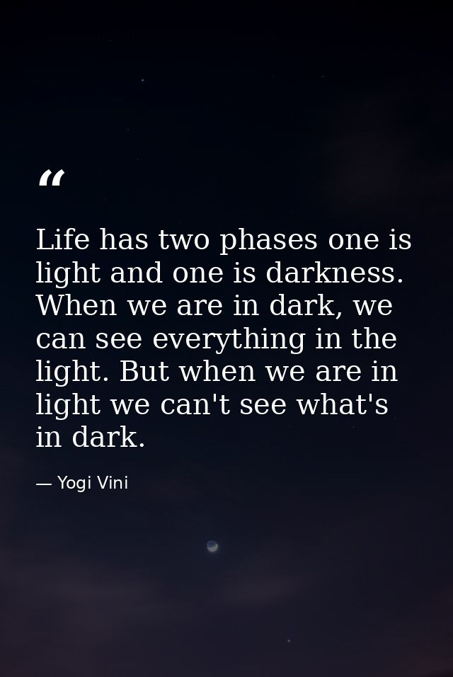 Life has two phases one is light and one is darkness. When we are in dark, we can see everything in the light. But when  — Yogi Vini