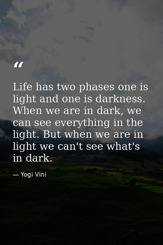 Life has two phases one is light and one is darkness. When we are in dark, we can see everything in the light. But when  — Yogi Vini