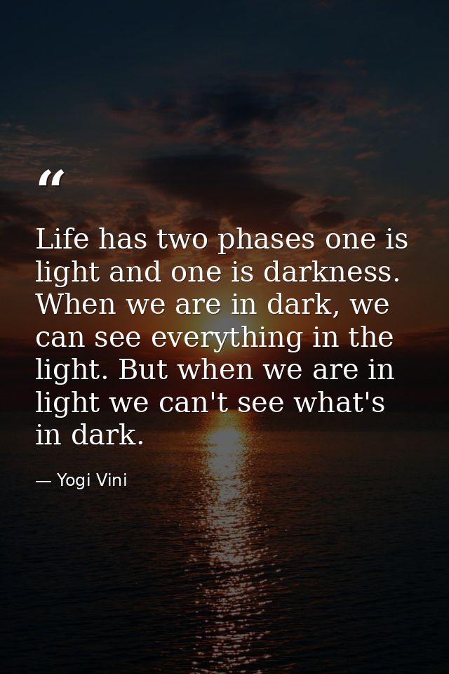 Life has two phases one is light and one is darkness. When we are in dark, we can see everything in the light. But when  — Yogi Vini