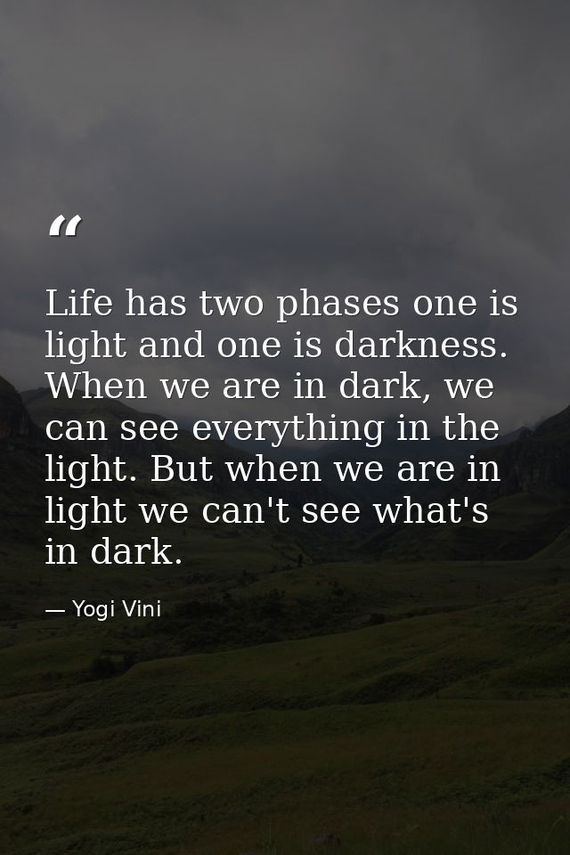 Life has two phases one is light and one is darkness. When we are in dark, we can see everything in the light. But when  — Yogi Vini