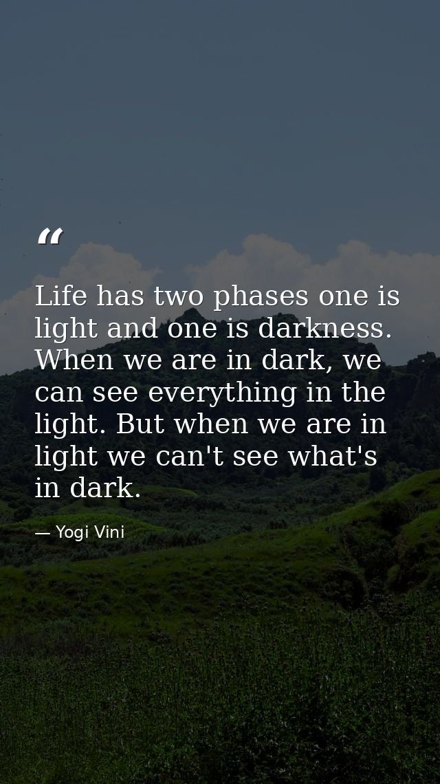 Life has two phases one is light and one is darkness. When we are in dark, we can see everything in the light. But when  — Yogi Vini