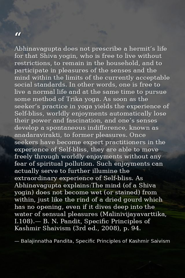 Abhinavagupta does not prescribe a hermit’s life for that Shiva yogin, who is free to live without restrictions, to rema — Balajinnatha Pandita, Specific Principles of Kashmir Saivism