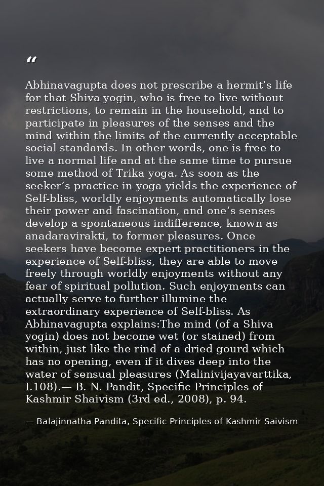 Abhinavagupta does not prescribe a hermit’s life for that Shiva yogin, who is free to live without restrictions, to rema — Balajinnatha Pandita, Specific Principles of Kashmir Saivism