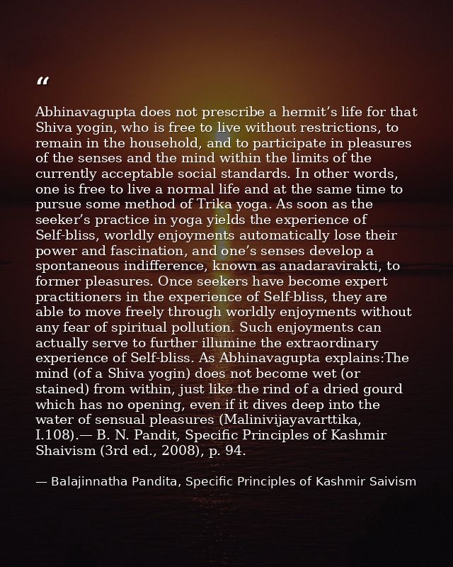 Abhinavagupta does not prescribe a hermit’s life for that Shiva yogin, who is free to live without restrictions, to rema — Balajinnatha Pandita, Specific Principles of Kashmir Saivism