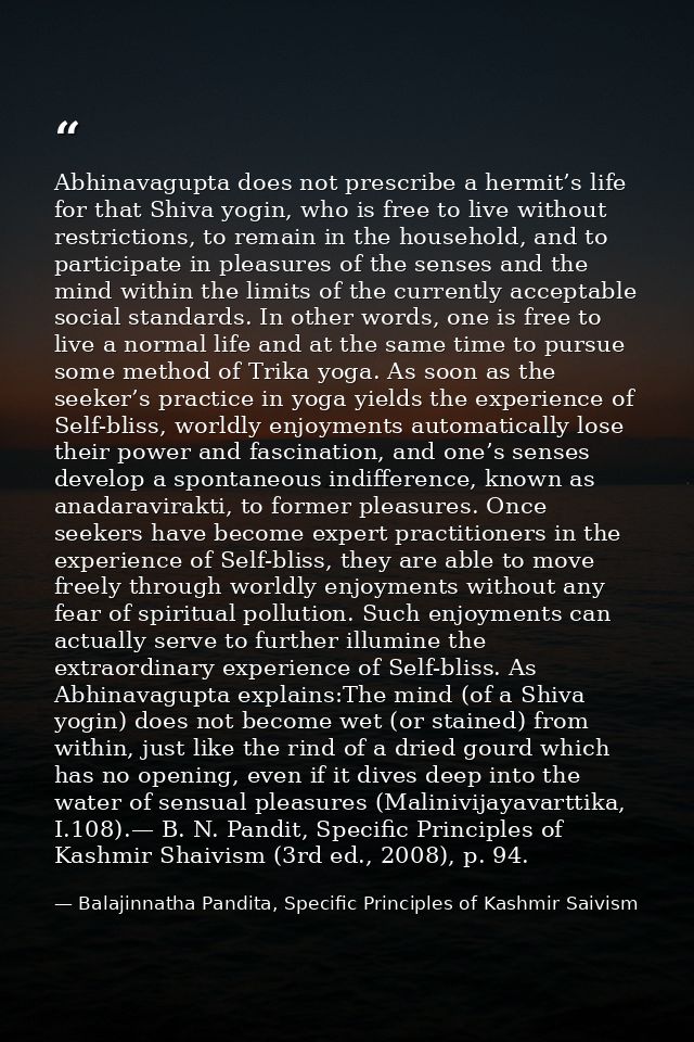Abhinavagupta does not prescribe a hermit’s life for that Shiva yogin, who is free to live without restrictions, to rema — Balajinnatha Pandita, Specific Principles of Kashmir Saivism