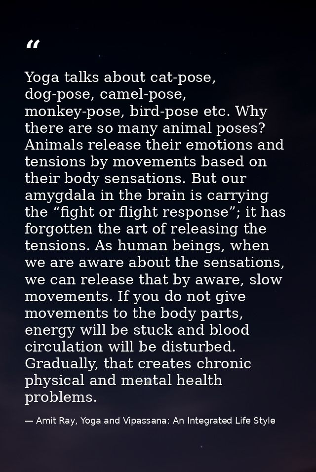Yoga talks about cat-pose, dog-pose, camel-pose, monkey-pose, bird-pose etc. Why there are so many animal poses? Animals — Amit Ray, Yoga and Vipassana: An Integrated Life Style