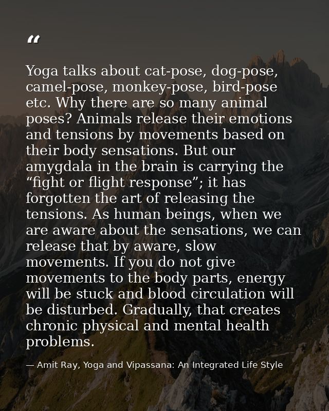 Yoga talks about cat-pose, dog-pose, camel-pose, monkey-pose, bird-pose etc. Why there are so many animal poses? Animals — Amit Ray, Yoga and Vipassana: An Integrated Life Style
