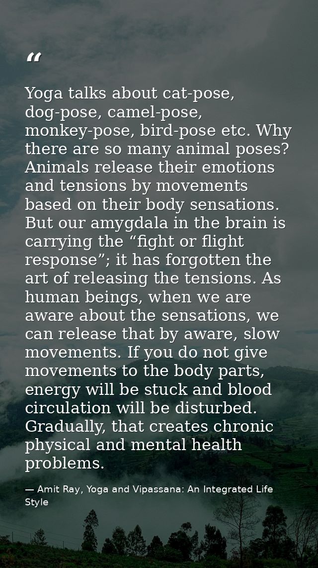 Yoga talks about cat-pose, dog-pose, camel-pose, monkey-pose, bird-pose etc. Why there are so many animal poses? Animals — Amit Ray, Yoga and Vipassana: An Integrated Life Style
