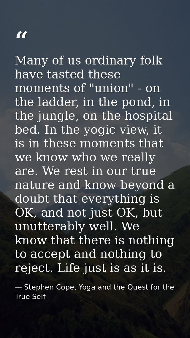 Many of us ordinary folk have tasted these moments of "union" - on the ladder, in the pond, in the jungle, on the hospit — Stephen Cope, Yoga and the Quest for the True Self