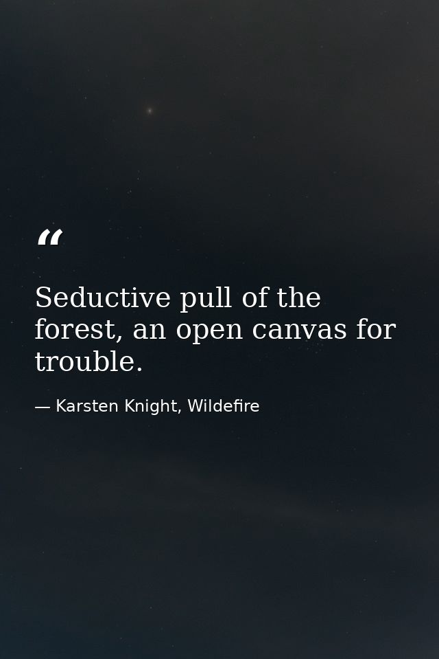 Seductive pull of the forest, an open canvas for trouble. — Karsten Knight, Wildefire