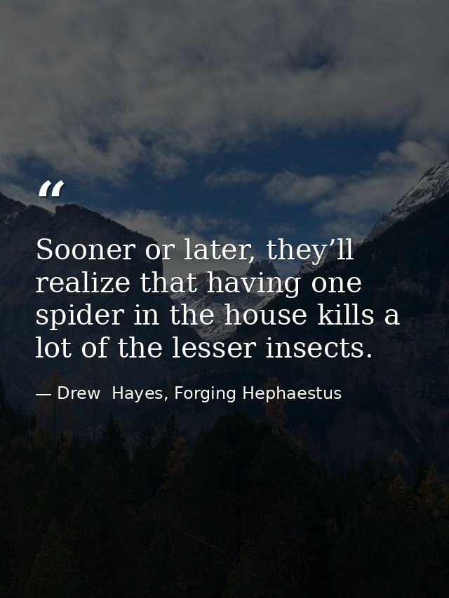 Sooner or later, they’ll realize that having one spider in the house kills a lot of the lesser insects. — Drew  Hayes, Forging Hephaestus