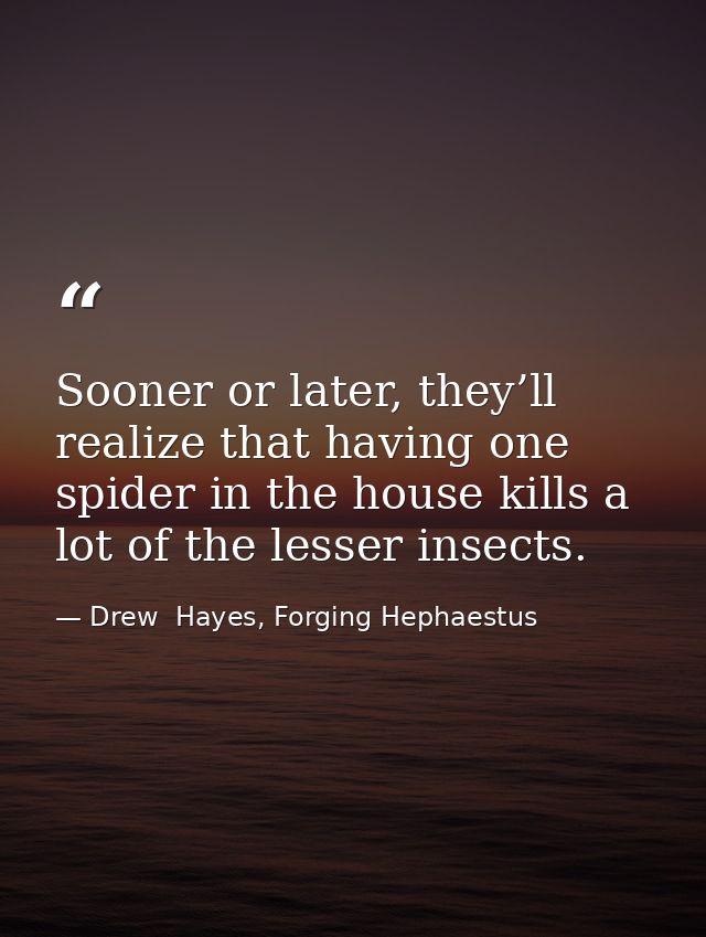 Sooner or later, they’ll realize that having one spider in the house kills a lot of the lesser insects. — Drew  Hayes, Forging Hephaestus