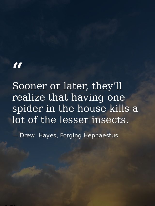 Sooner or later, they’ll realize that having one spider in the house kills a lot of the lesser insects. — Drew  Hayes, Forging Hephaestus
