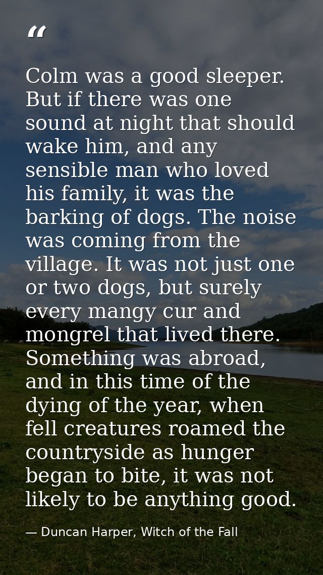 Colm was a good sleeper. But if there was one sound at night that should wake him, and any sensible man who loved his fa — Duncan Harper, Witch of the Fall