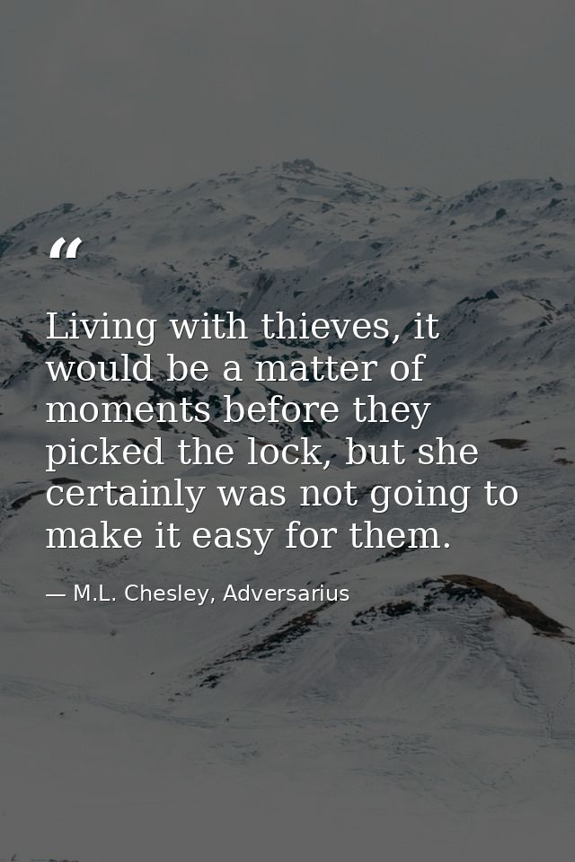 Living with thieves, it would be a matter of moments before they picked the lock, but she certainly was not going to mak — M.L. Chesley, Adversarius