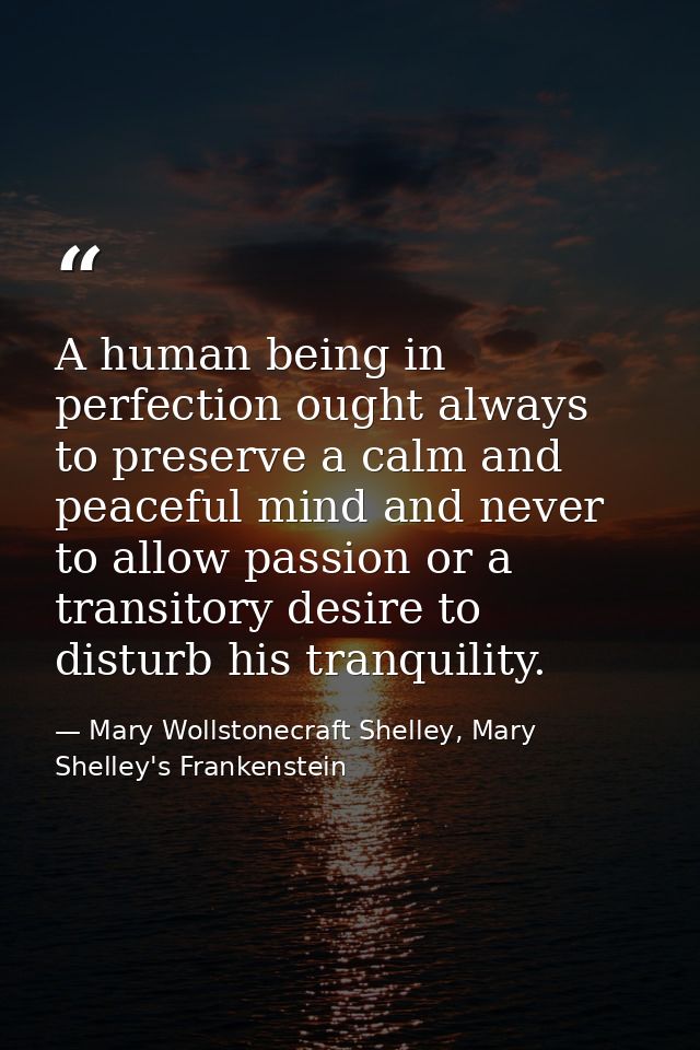 A human being in perfection ought always to preserve a calm and peaceful mind and never to allow passion or a transitory — Mary Wollstonecraft Shelley, Mary Shelley's Frankenstein