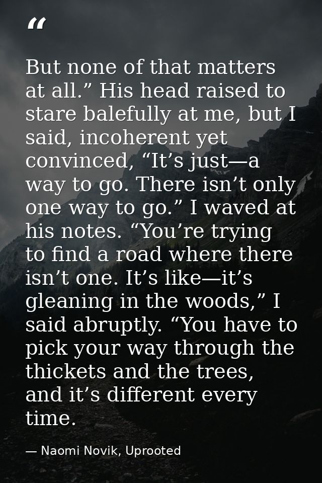 But none of that matters at all.” His head raised to stare balefully at me, but I said, incoherent yet convinced, “It’s  — Naomi Novik, Uprooted