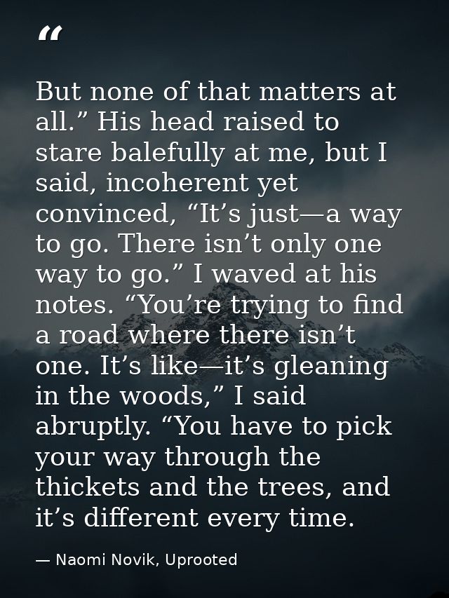 But none of that matters at all.” His head raised to stare balefully at me, but I said, incoherent yet convinced, “It’s  — Naomi Novik, Uprooted