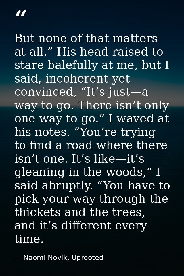But none of that matters at all.” His head raised to stare balefully at me, but I said, incoherent yet convinced, “It’s  — Naomi Novik, Uprooted
