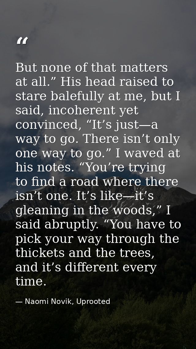 But none of that matters at all.” His head raised to stare balefully at me, but I said, incoherent yet convinced, “It’s  — Naomi Novik, Uprooted
