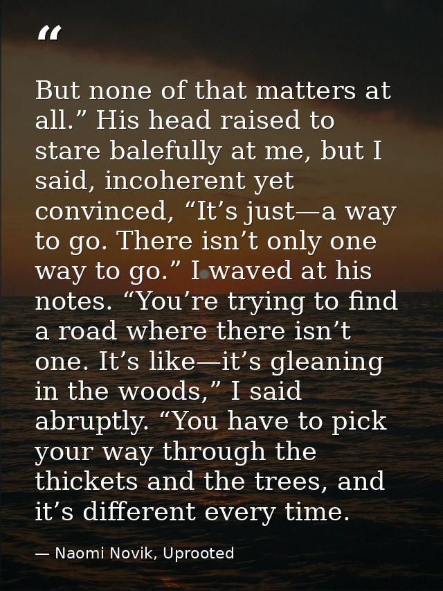 But none of that matters at all.” His head raised to stare balefully at me, but I said, incoherent yet convinced, “It’s  — Naomi Novik, Uprooted