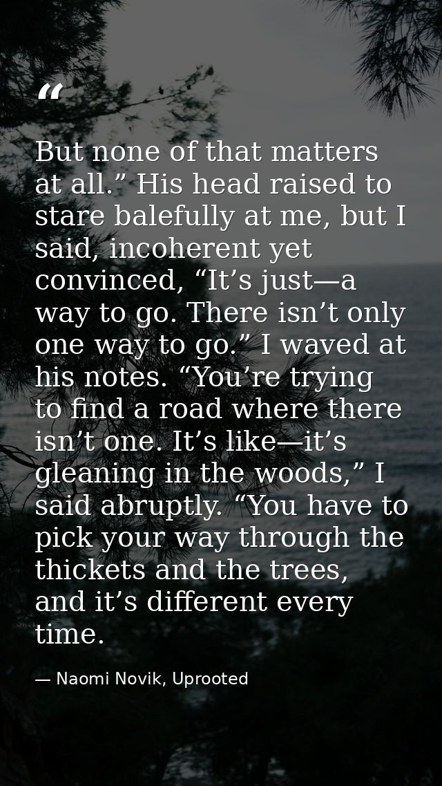 But none of that matters at all.” His head raised to stare balefully at me, but I said, incoherent yet convinced, “It’s  — Naomi Novik, Uprooted