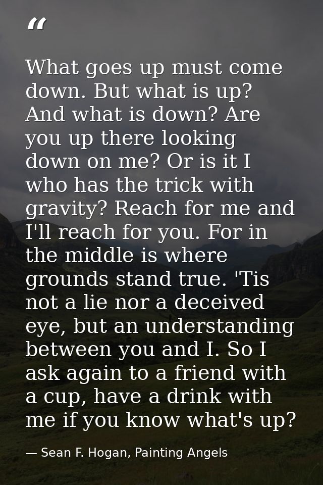 What goes up must come down. But what is up? And what is down? Are you up there looking down on me? Or is it I who has t — Sean F. Hogan, Painting Angels