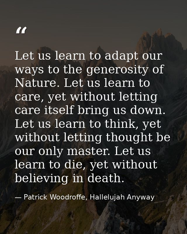 Let us learn to adapt our ways to the generosity of Nature. Let us learn to care, yet without letting care itself bring  — Patrick Woodroffe, Hallelujah Anyway