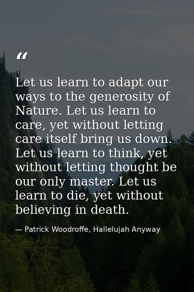 Let us learn to adapt our ways to the generosity of Nature. Let us learn to care, yet without letting care itself bring  — Patrick Woodroffe, Hallelujah Anyway