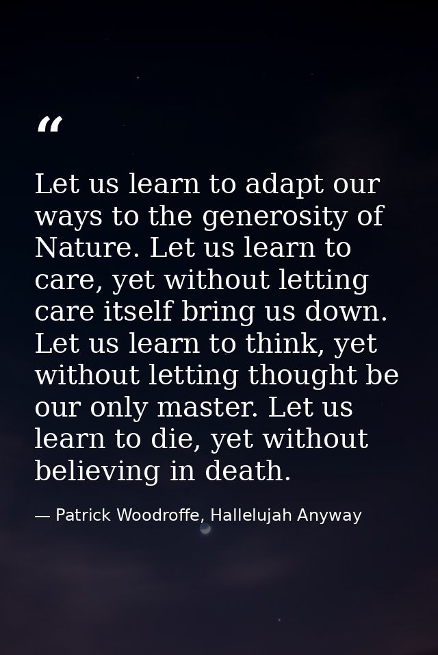 Let us learn to adapt our ways to the generosity of Nature. Let us learn to care, yet without letting care itself bring  — Patrick Woodroffe, Hallelujah Anyway