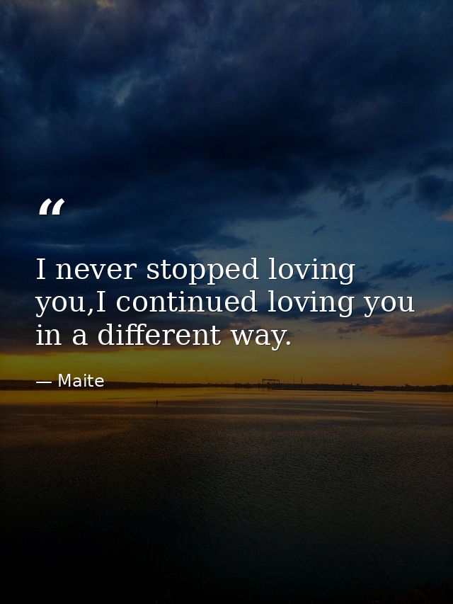 I never stopped loving you,I continued loving you in a different way. — Maite