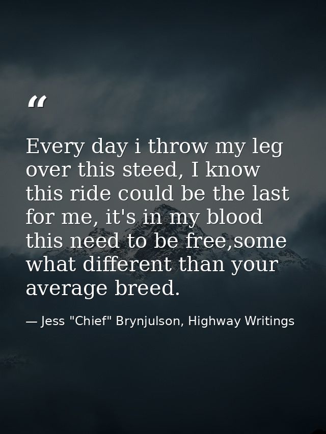 Every day i throw my leg over this steed, I know this ride could be the last for me, it's in my blood this need to be fr — Jess "Chief" Brynjulson, Highway Writings