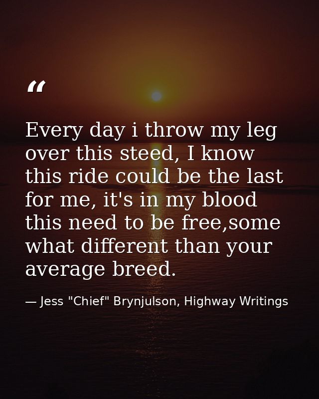 Every day i throw my leg over this steed, I know this ride could be the last for me, it's in my blood this need to be fr — Jess "Chief" Brynjulson, Highway Writings